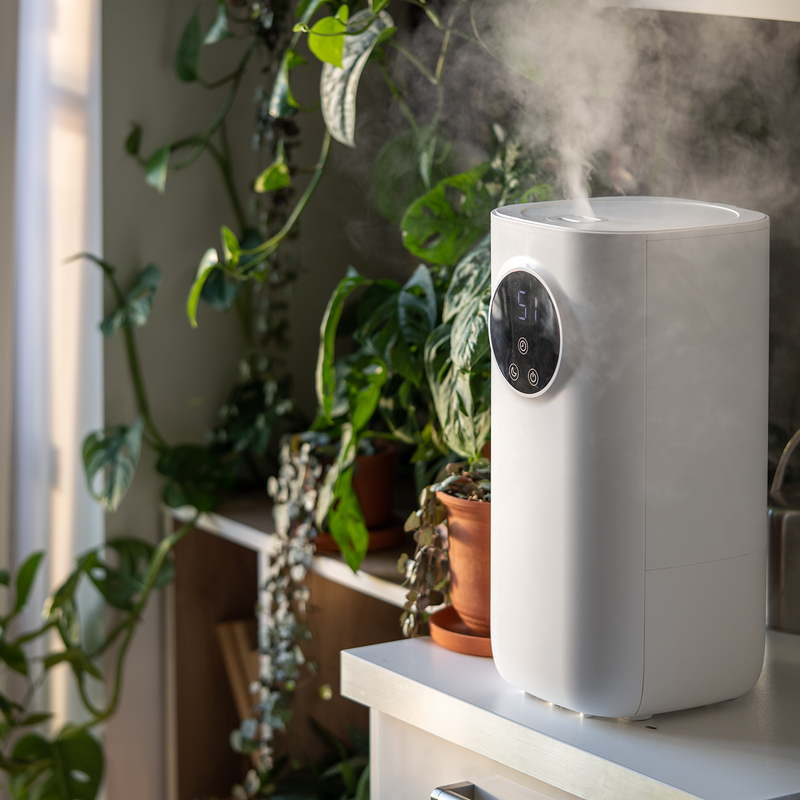 5 Effectieve Tips om Droge Lucht in Huis te Bestrijden